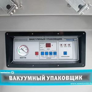 Вакуумный упаковщик DZ-500/2SC Foodatlas Eco