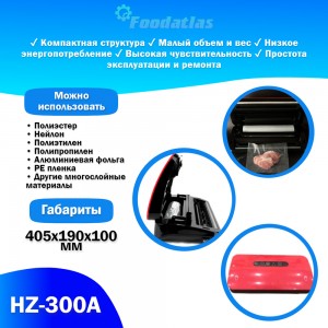 Вакуумный упаковщик HZ-300A Foodatlas Eco